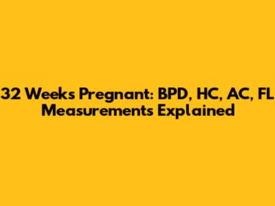 32 Weeks Pregnant: BPD, HC, AC, FL Measurements Explained