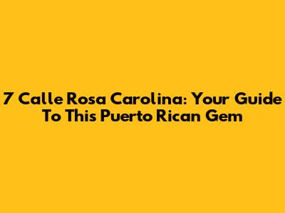 7 Calle Rosa Carolina: Your Guide To This Puerto Rican Gem
