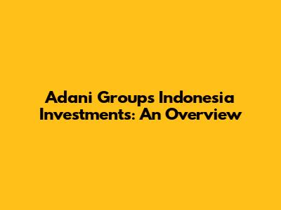 Adani Group's Indonesia Investments: An Overview