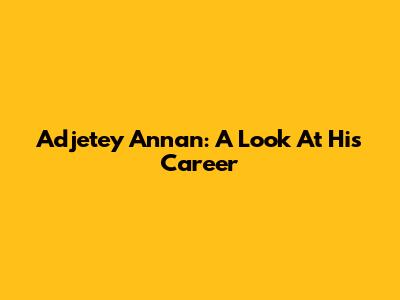 Adjetey Annan: A Look At His Career