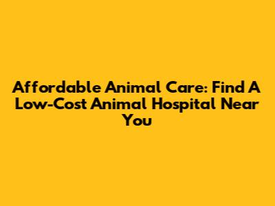 Affordable Animal Care: Find A Low-Cost Animal Hospital Near You