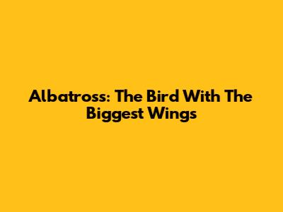 Albatross: The Bird With The Biggest Wings