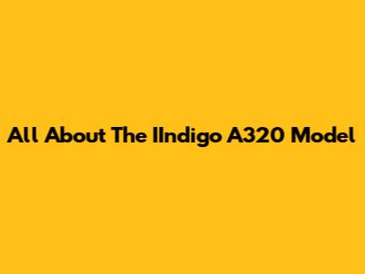 All About The IIndigo A320 Model