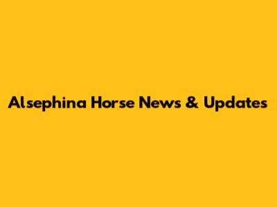 Alsephina Horse News & Updates