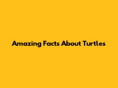 Amazing Facts About Turtles