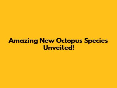 Amazing New Octopus Species Unveiled!