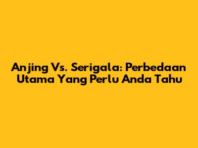 Anjing Vs. Serigala: Perbedaan Utama Yang Perlu Anda Tahu