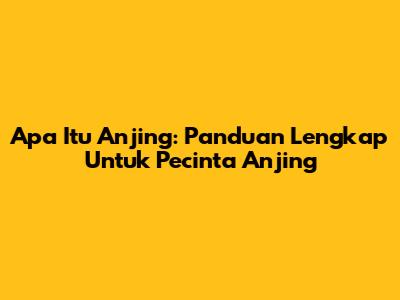 Apa Itu Anjing: Panduan Lengkap Untuk Pecinta Anjing