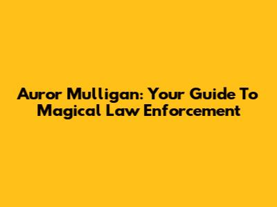 Auror Mulligan: Your Guide To Magical Law Enforcement