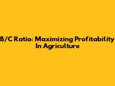 B/C Ratio: Maximizing Profitability In Agriculture