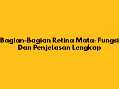 Bagian-Bagian Retina Mata: Fungsi Dan Penjelasan Lengkap