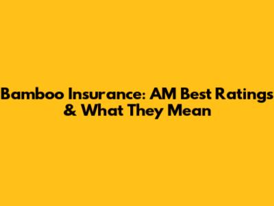 Bamboo Insurance: AM Best Ratings & What They Mean