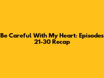 Be Careful With My Heart: Episodes 21-30 Recap