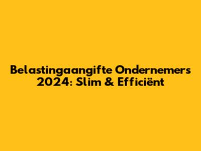 Belastingaangifte Ondernemers 2024: Slim & Efficiënt