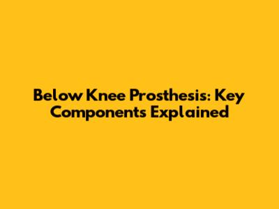 Below Knee Prosthesis: Key Components Explained