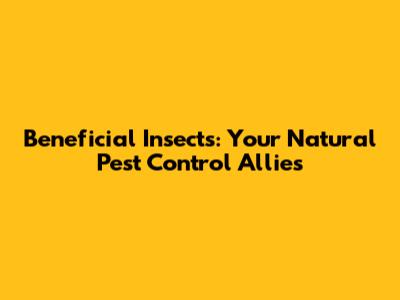 Beneficial Insects: Your Natural Pest Control Allies