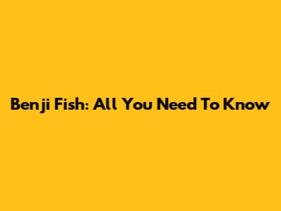 Benji Fish: All You Need To Know