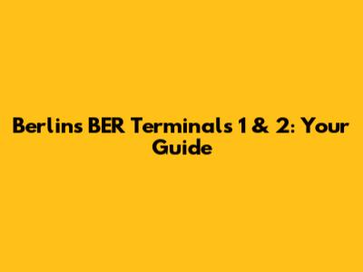 Berlin's BER Terminals 1 & 2: Your Guide