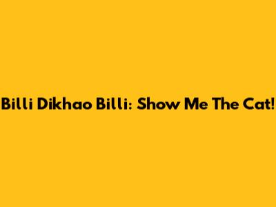 Billi Dikhao Billi: Show Me The Cat!