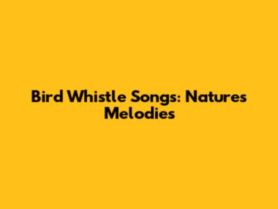 Bird Whistle Songs: Nature's Melodies