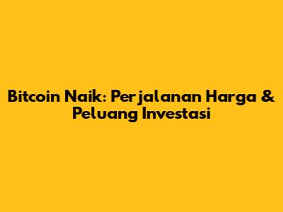 Bitcoin Naik: Perjalanan Harga & Peluang Investasi