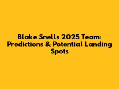 Blake Snell's 2025 Team: Predictions & Potential Landing Spots
