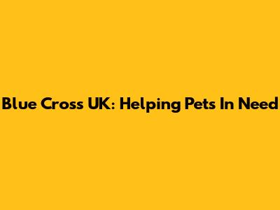 Blue Cross UK: Helping Pets In Need