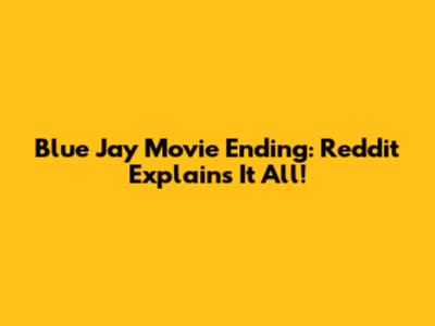 Blue Jay Movie Ending: Reddit Explains It All!