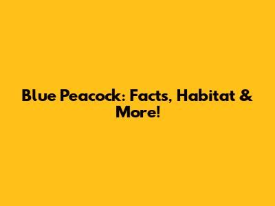 Blue Peacock: Facts, Habitat & More!