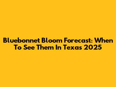 Bluebonnet Bloom Forecast: When To See Them In Texas 2025