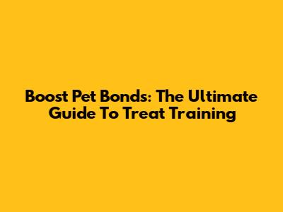 Boost Pet Bonds: The Ultimate Guide To Treat Training