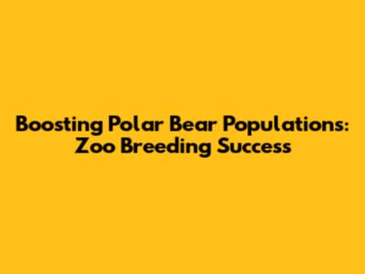Boosting Polar Bear Populations: Zoo Breeding Success