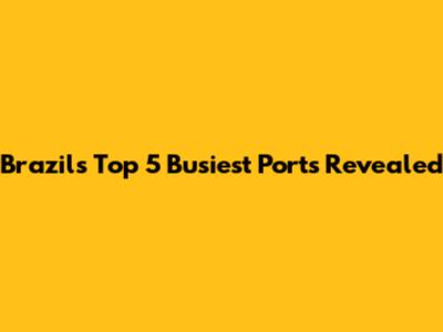 Brazil's Top 5 Busiest Ports Revealed