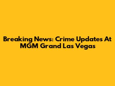Breaking News: Crime Updates At MGM Grand Las Vegas