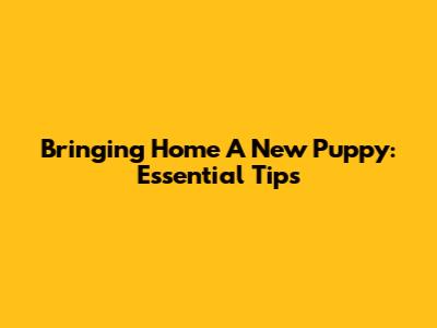 Bringing Home A New Puppy: Essential Tips