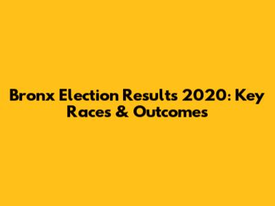 Bronx Election Results 2020: Key Races & Outcomes
