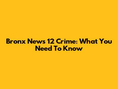Bronx News 12 Crime: What You Need To Know