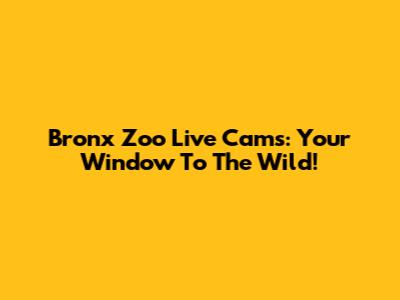 Bronx Zoo Live Cams: Your Window To The Wild!