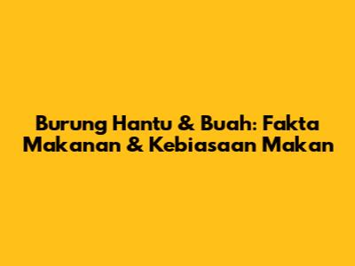 Burung Hantu & Buah: Fakta Makanan & Kebiasaan Makan