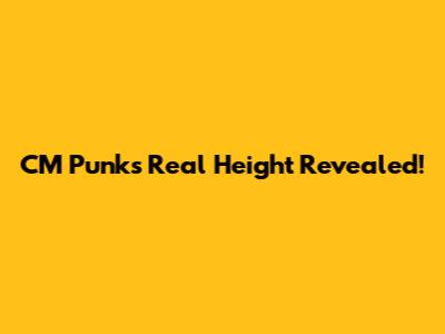 CM Punk's Real Height Revealed!