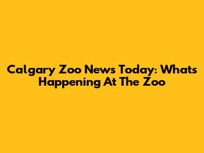 Calgary Zoo News Today: What's Happening At The Zoo