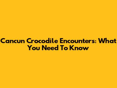 Cancun Crocodile Encounters: What You Need To Know