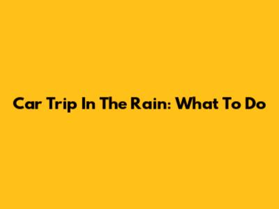 Car Trip In The Rain: What To Do