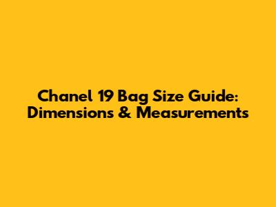 Chanel 19 Bag Size Guide: Dimensions & Measurements