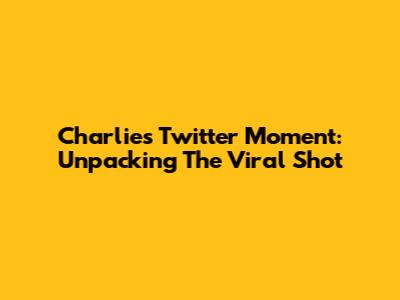 Charlie's Twitter Moment: Unpacking The Viral Shot