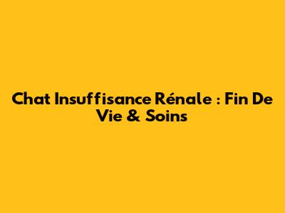 Chat Insuffisance Rénale : Fin De Vie & Soins