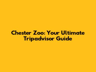 Chester Zoo: Your Ultimate Tripadvisor Guide