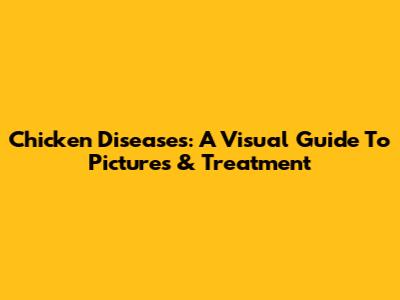 Chicken Diseases: A Visual Guide To Pictures & Treatment