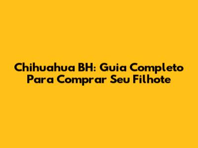 Chihuahua BH: Guia Completo Para Comprar Seu Filhote