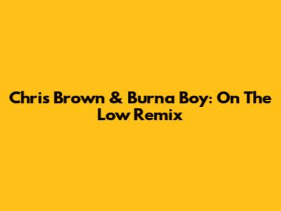 Chris Brown & Burna Boy: "On The Low" Remix